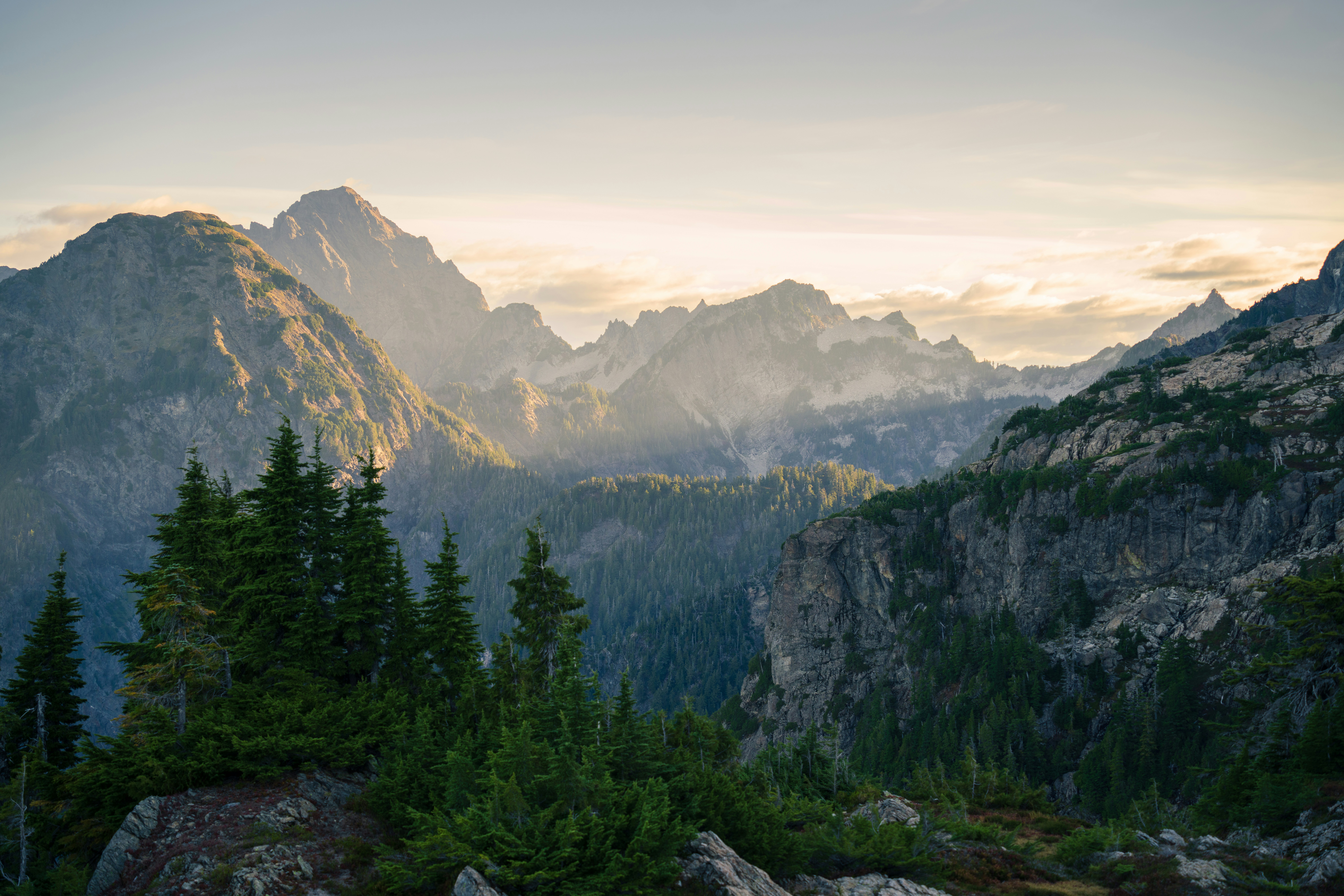 Evening light over forested mountain ridges
